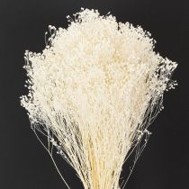 Artikel Gedroogde, gebleekte witte broombloemen met lange houdbaarheid, 100 g