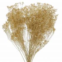 Droogbloemen Broom Bloom Gebleekt 140g