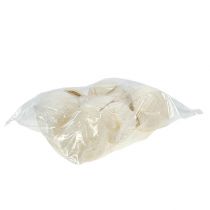 Artikel Boeddha Noot gebleekt 10 st