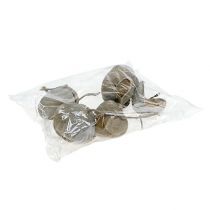 Artikel Boeddha Noten 8-10cm white washed 10 st