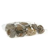 Artikel Boeddha Noot Naturel 15 st