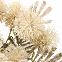 Kunst Distel Creme Drylook Bol Distel 33cm 3st