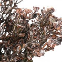 Kunstplanten bruin herfstdecoratie winterdecoratie Drylook 38cm 3st