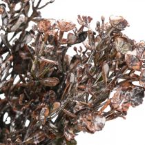 Artikel Kunstplanten bruin herfstdecoratie winterdecoratie Drylook 38cm 3 st