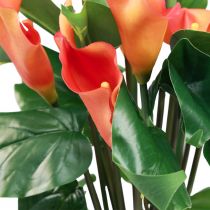 Artikel Calla Lelie Abrikoos Calla Kunstbloemen Oranje Exotisch 44cm