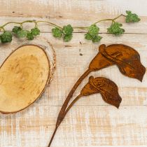 Artikel Tuinstekers met Calla-bloemmotief voor graven en bloemstukken, 25 cm, 6 stuks