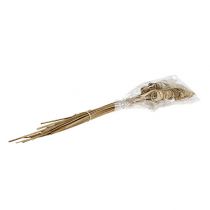 Artikel Rieten kegel naturel 25 stuks