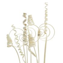 Artikel Riet assortiment mini gebleekt 75 stuks