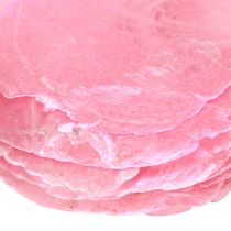 Artikel Capiz schelpdecoratie in roze bes 5cm–8cm mix 60 stuks