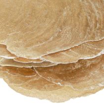 Artikel Capiz schijven in natuurlijke gouden schelp schelpen 60 stuks