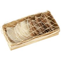 Artikel Capiz schijven in natuurlijke gouden schelp schelpen 60 stuks