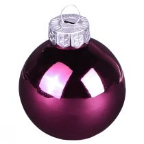 Artikel Kerstboomballen glazen boombollen Berry Mix Ø5cm 24 stuks Berry roze beige crème glanzend