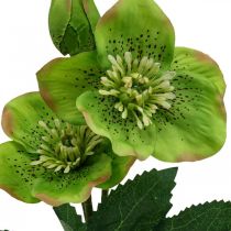 Kerstroos Lenteroos Helleborus kunstbloemen groen L34cm 4st