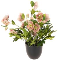 Artikel Kunstmatige Helleborus in pot, kerstroos, voor huisdecoratie, 50 cm