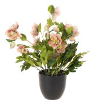 Artikel Kunstmatige Helleborus in pot, kerstroos, voor huisdecoratie, 50 cm