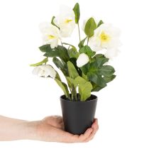 Artikel Kunstmatige kerstroos, potplant, tafeldecoratie, 34 cm