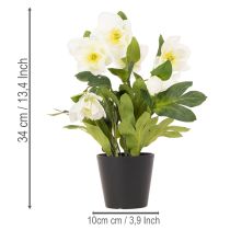 Artikel Kunstmatige kerstroos, potplant, tafeldecoratie, 34 cm