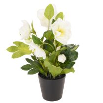 Artikel Kunstmatige kerstroos, potplant, tafeldecoratie, 34 cm