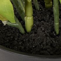 Artikel Kunstmatige kerstroos, potplant, tafeldecoratie, 34 cm