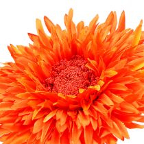 Chrysanthemum teddy 63cm oranje