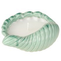 Artikel Citronella Kaars Schelp Keramiek Buitenkaars 14cm 3st
