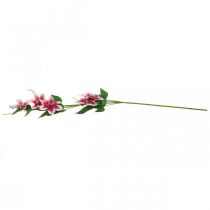 Artikel Clematis tak met 5 bloemen, kunstbloem, decoratieve tak roze, wit L84cm