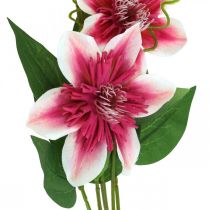 Artikel Clematis tak met 5 bloemen, kunstbloem, decoratieve tak roze, wit L84cm
