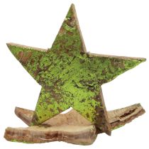 Artikel Strooidecoratie kerststerren kokos groen Ø5cm 50st