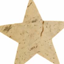 Artikel Coconut star nature 5cm 50st Kerstversiering tafeldecoratie