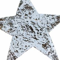 Artikel Kokosster white washed 10cm 20 st