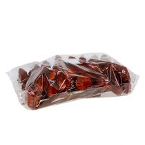 Artikel Compacta Rozet oranje 40 st