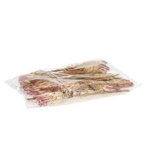 Artikel Compacta Roze 25 st