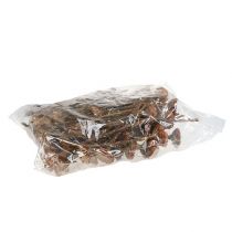 Artikel Compacta Rozet 100 st