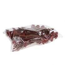 Artikel Compacta Rozet Erika 40 st