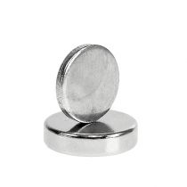 Artikel Corsagemagneet 12 x 3 mm 10 st