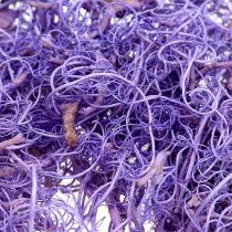 Krullend mos licht violet 350g