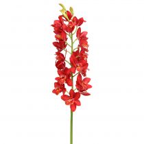 Artikel Orchidee cymbidium rood 78cm