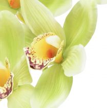 Artikel Cymbidium orchidee kunst 5 bloemen groen 65cm