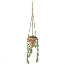 Artikel Kunstvetplanten Hangende Slang Muurpeper 34cm