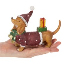 Artikel Decoratief teckelbeeldje met geschenkverpakking en hoedje, 18 cm