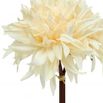 Artikel Dahlia kunst creme 25,5cm 3st