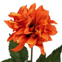 Dahlia Oranje 28cm 4st