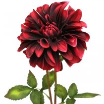 Artikel Kunstbloem dahlia rode zijden bloem herfst 78cm Ø3 / 15cm