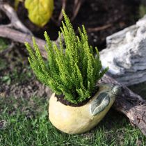 Artikel Decoratieve peren betonnen plantenbak herfstdecoratie 19×12,5×15,5cm