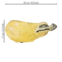 Artikel Decoratieve perenpot herfstpot beton 25×13×11cm