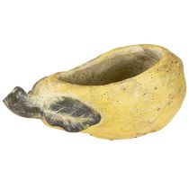 Artikel Decoratieve perenpot herfstpot beton 25×13×11cm