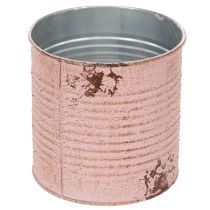 Artikel Decoratief blik, antieke roos, metalen blik voor planten, Ø11cm H10,5cm