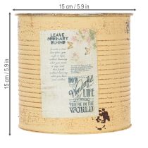 Artikel Decoratieve tinnen, abrikooskleurige, metalen plantenpot, zomerdecoratie, Ø15,5 cm H15 cm