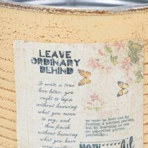 Artikel Decoratieve tinnen, abrikooskleurige, metalen plantenpot, zomerdecoratie, Ø15,5 cm H15 cm