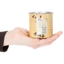 Artikel Decoratieve blikken plantenpot, zomerse abrikooskleur, metalen blik, Ø8cm H7,5cm